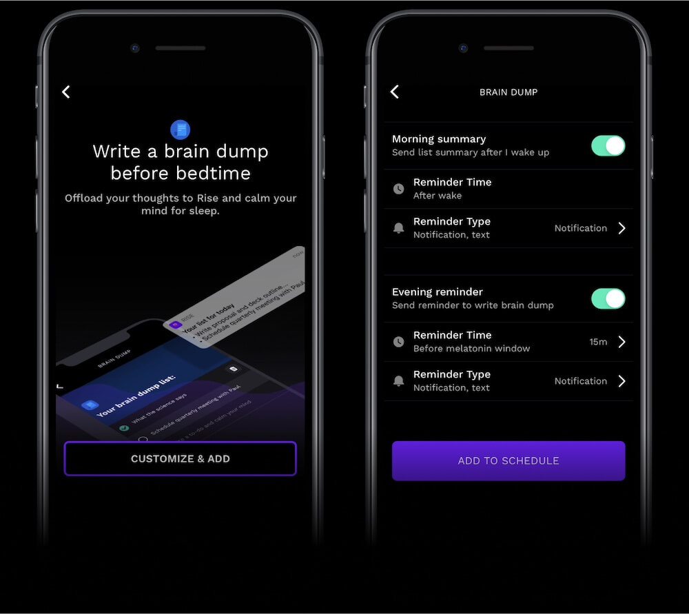 RISE app screenshot reminding you to do a brain dump