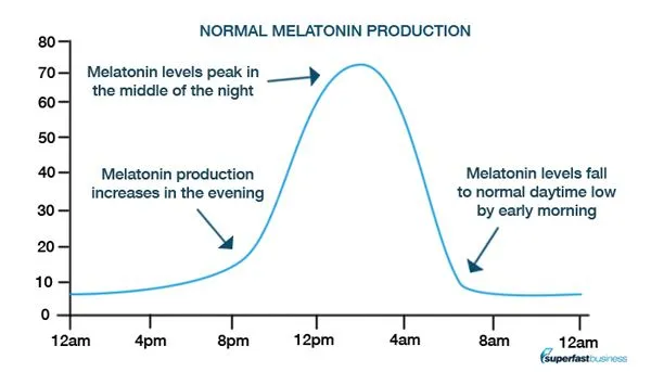 Melatonin levels over the day and night
