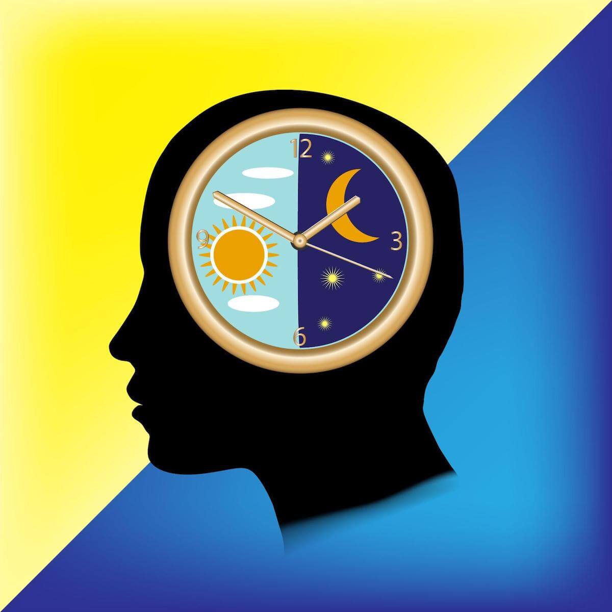 Effects of daylight savings time: night and day illustration