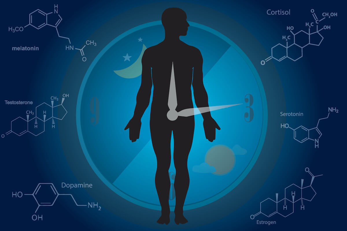 biological clock: illustration of a person and a clock